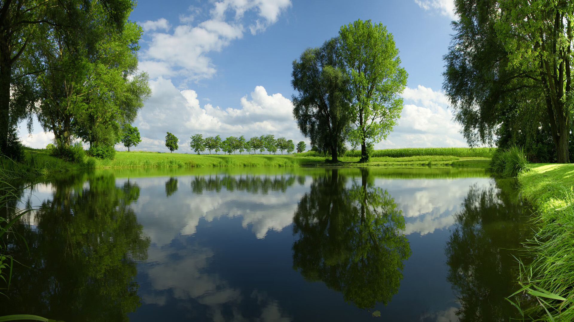 NBA下赛季MVP预测，nba新赛季mvp预测